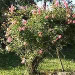 Casa Con Giardino E Vista Holiday home Civenna
