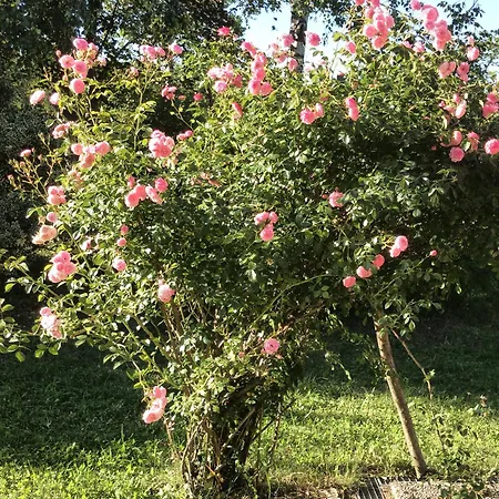 Casa Con Giardino E Vista Nyaraló Civenna