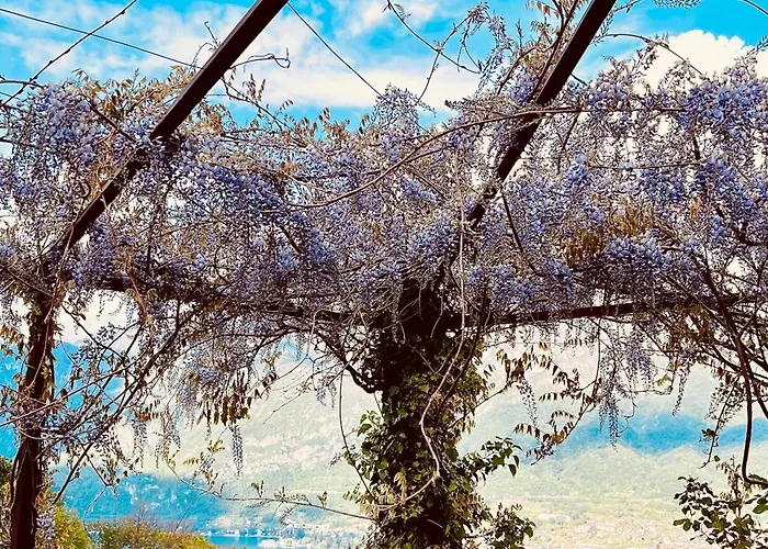 度假居 Casa Con Giardino E Vista